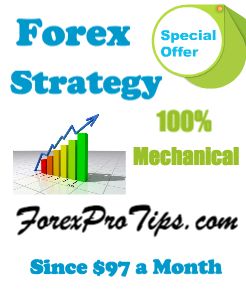 forex banner